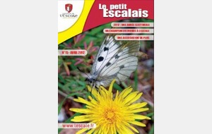 Article sur le petit escalais n°15