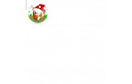 joyeuse saint Nicolas