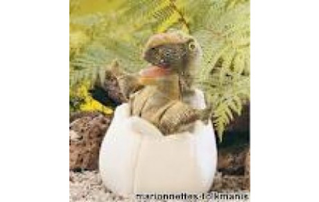 Et oui l'oeuf de dinosaure a éclos !