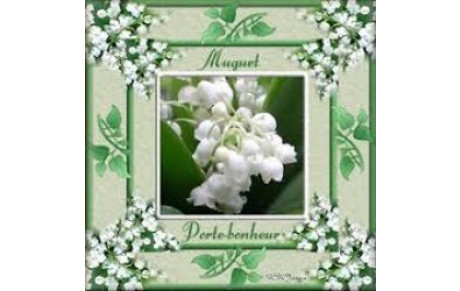 Le Brin de muguet des archers du soleil !