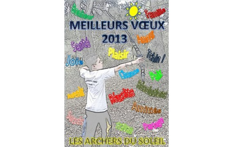 VOEUX 2013