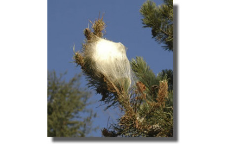 Vigilance sur le terrain de L'escale