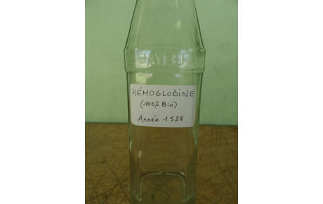 Marine remporte le titre d'archère d'halloween !