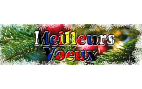 Meilleurs voeux 2016