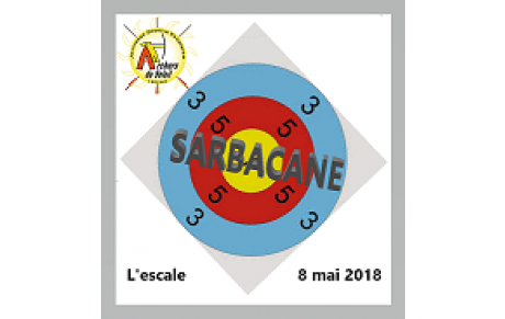 Retour sur les compéttions du 8 mai arc et sarbacane