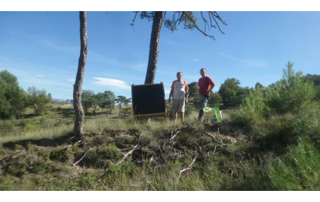 Avant le concours : préparation du terrain 
